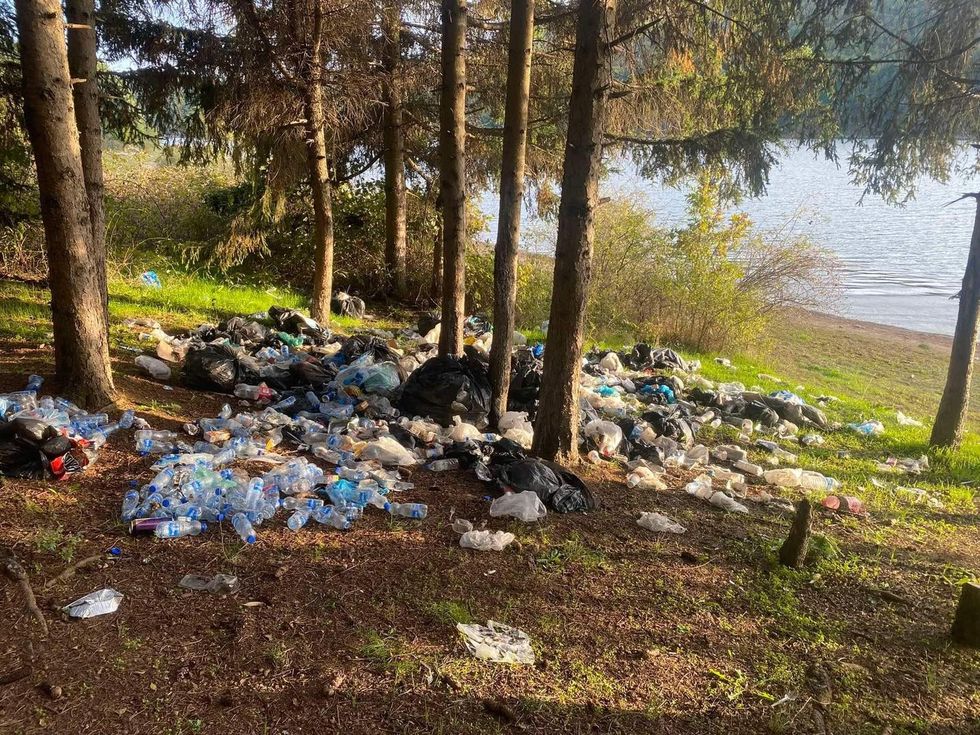 463516505 865054695809800 999077653398766031 n