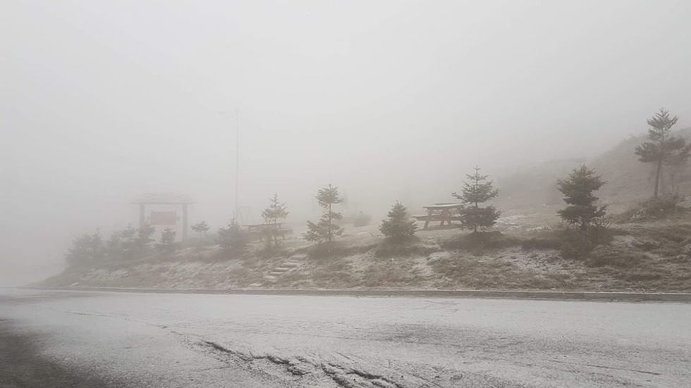 46409825 1794701880652093 6006898675584860160 n