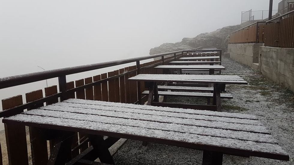 46420079 2190731907638715 2373944139508088832 n