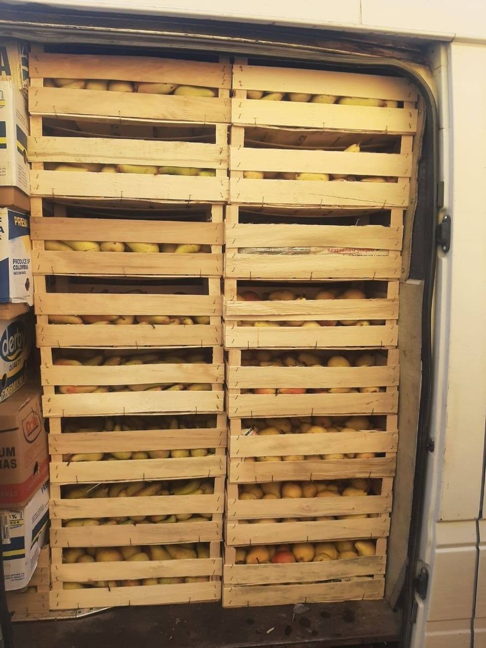 464428099 853273253679601 6678624441015547759 n