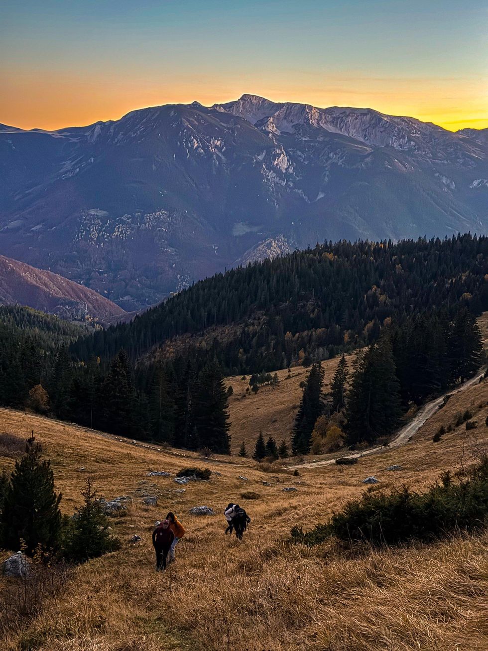 465531433 978175610973895 2622696381355898711 n