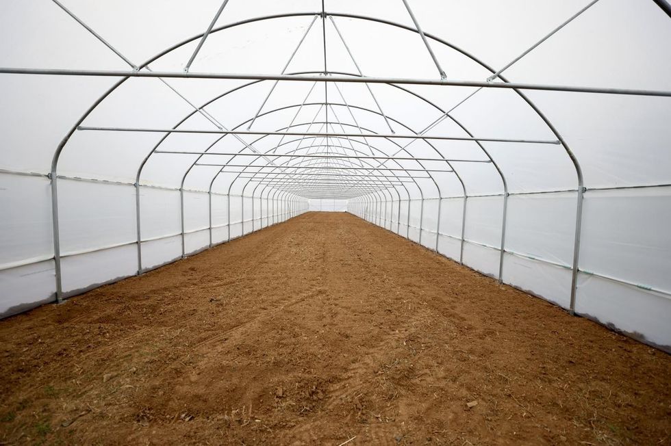 465907364 959803192849100 2257631500700258226 n