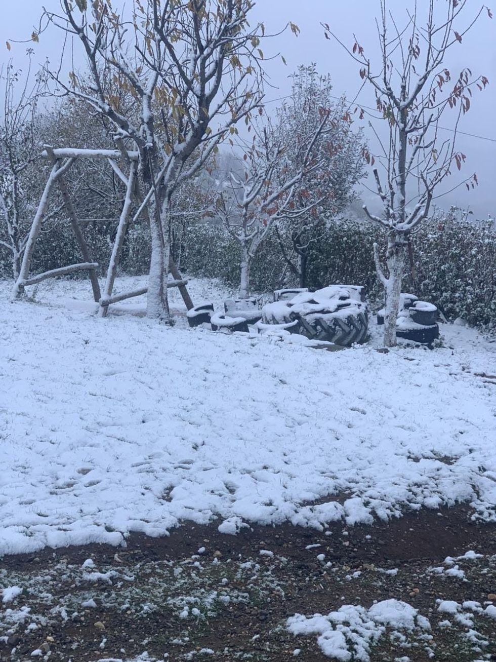 466132867 1085532256259666 6870205258478001730 n