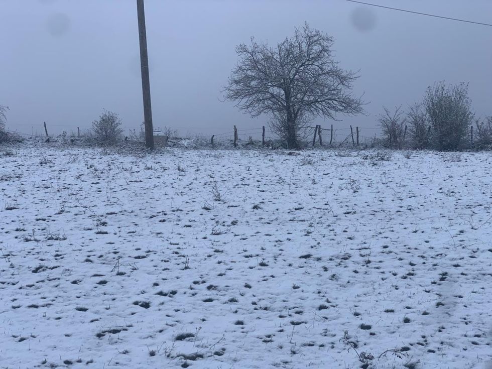 466148647 1085532312926327 1081472343364130613 n