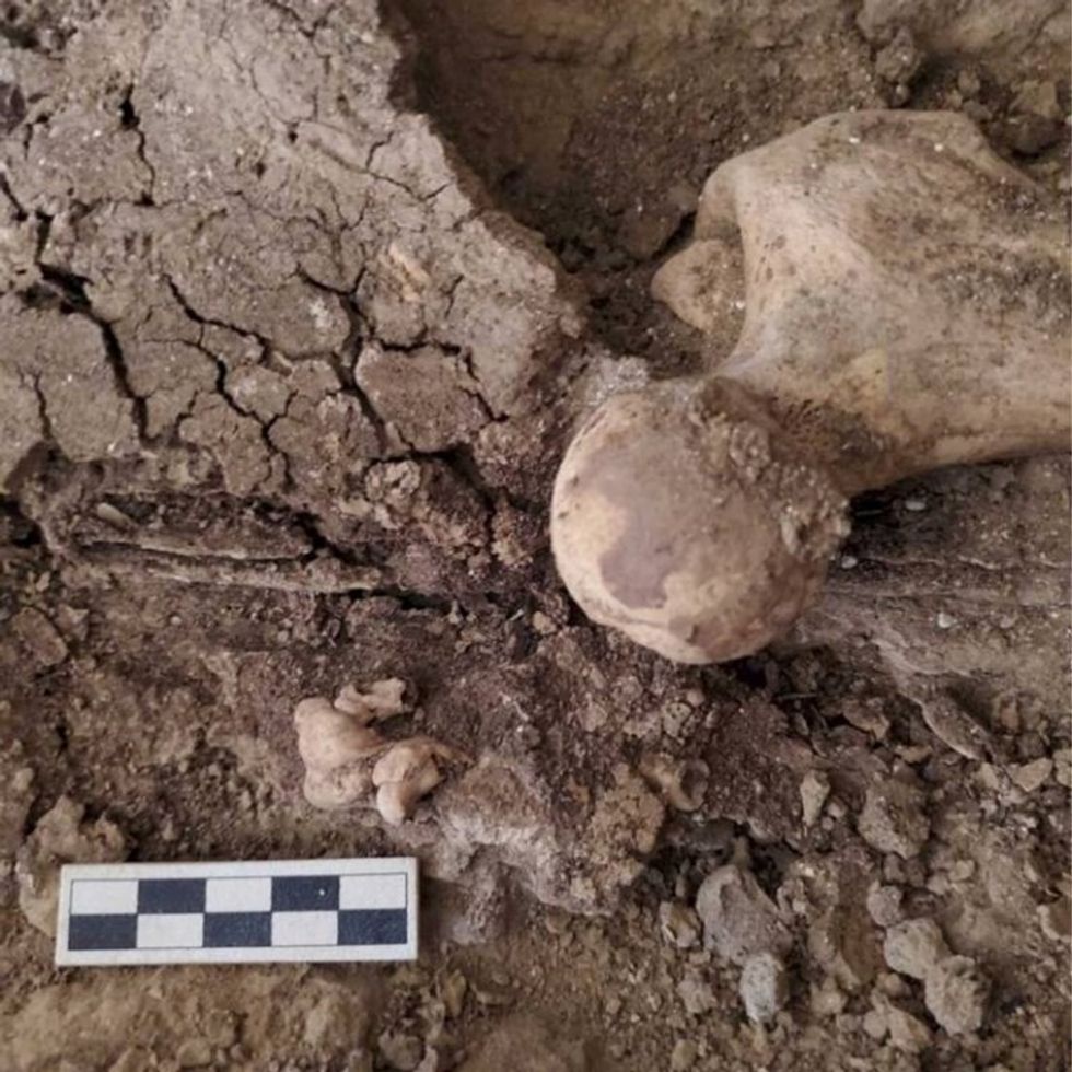 4675a312 c418 4db6 9333 f308226216f5