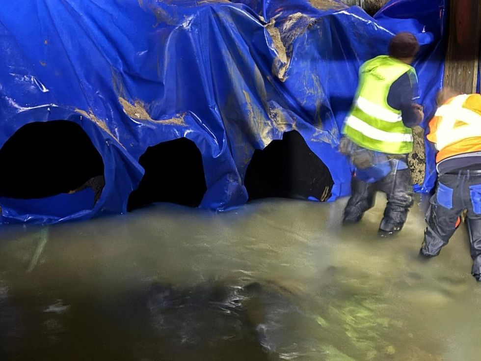 468547461 10227299141531811 2683429010531201415 n