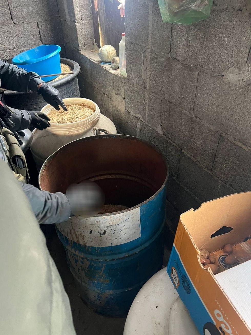 468914563 880164197657173 5983109577204370393 n