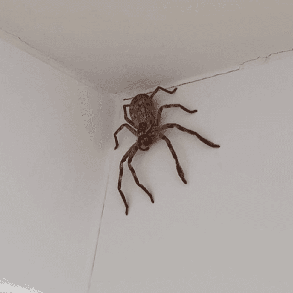 46E6DFFE F767 4FA6 80AF 0EE8FC62EA5C