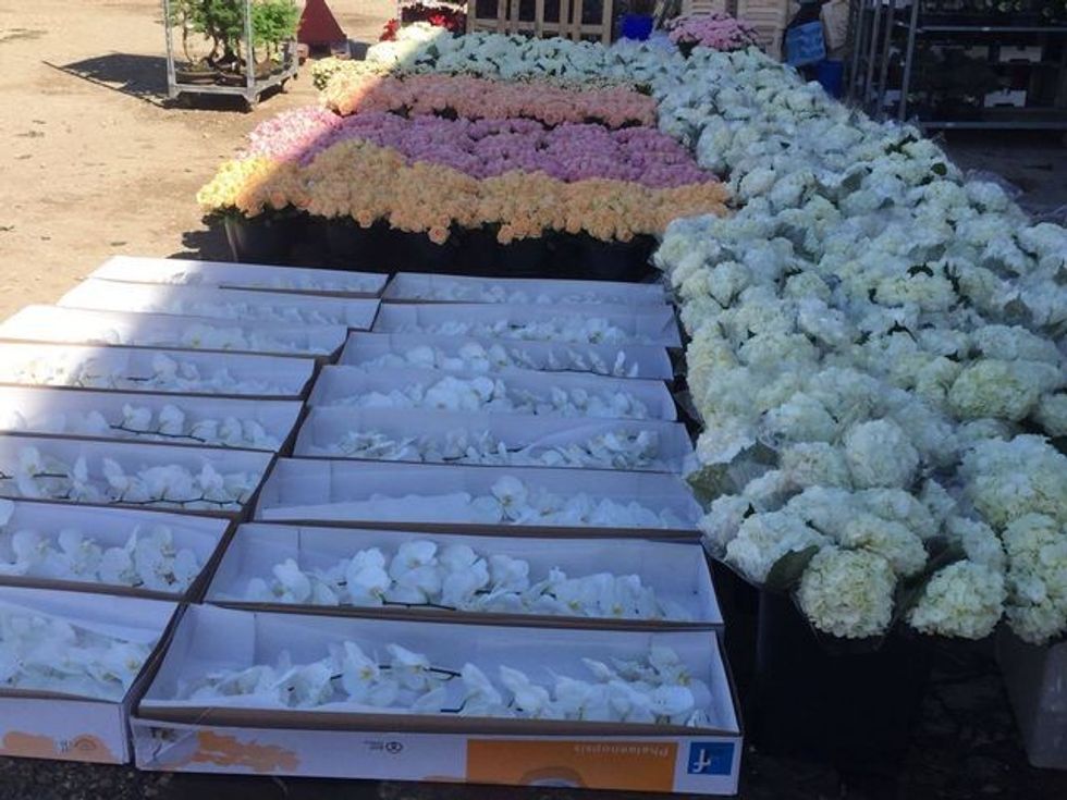 47c61d37d54d83e4d0dd51296cb37df9