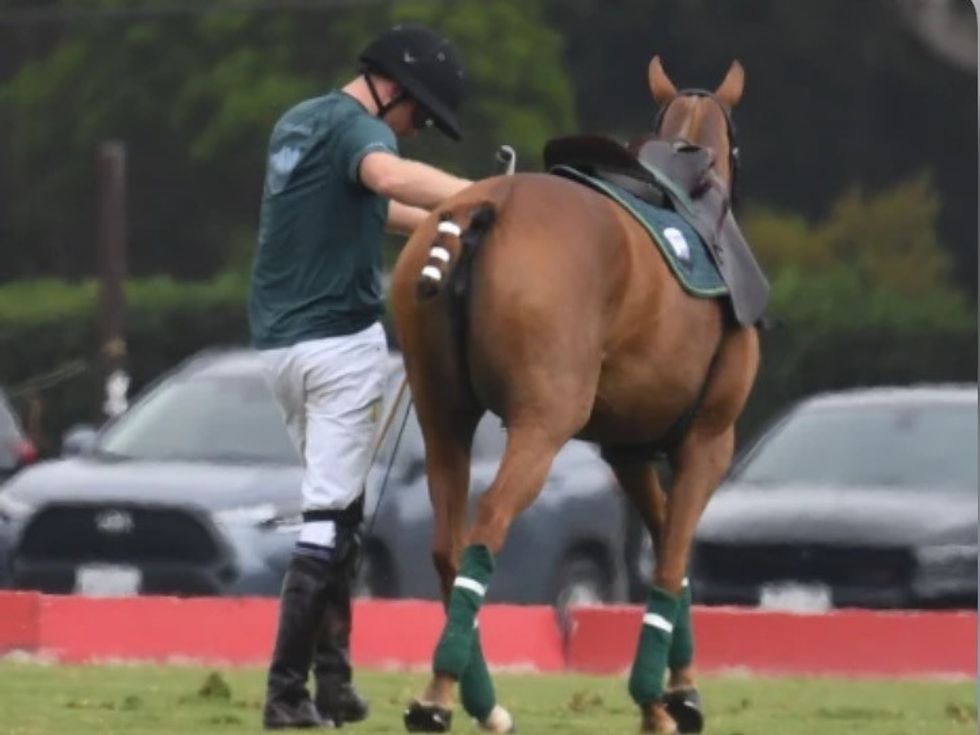 493D059E B24C 4DE0 BC25 E5AFD70662CF