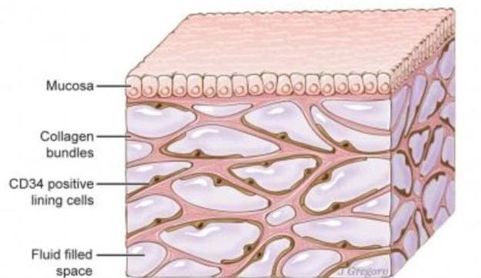 4A9B85B200000578 0 image a 33 1522183932227 e1522223018616