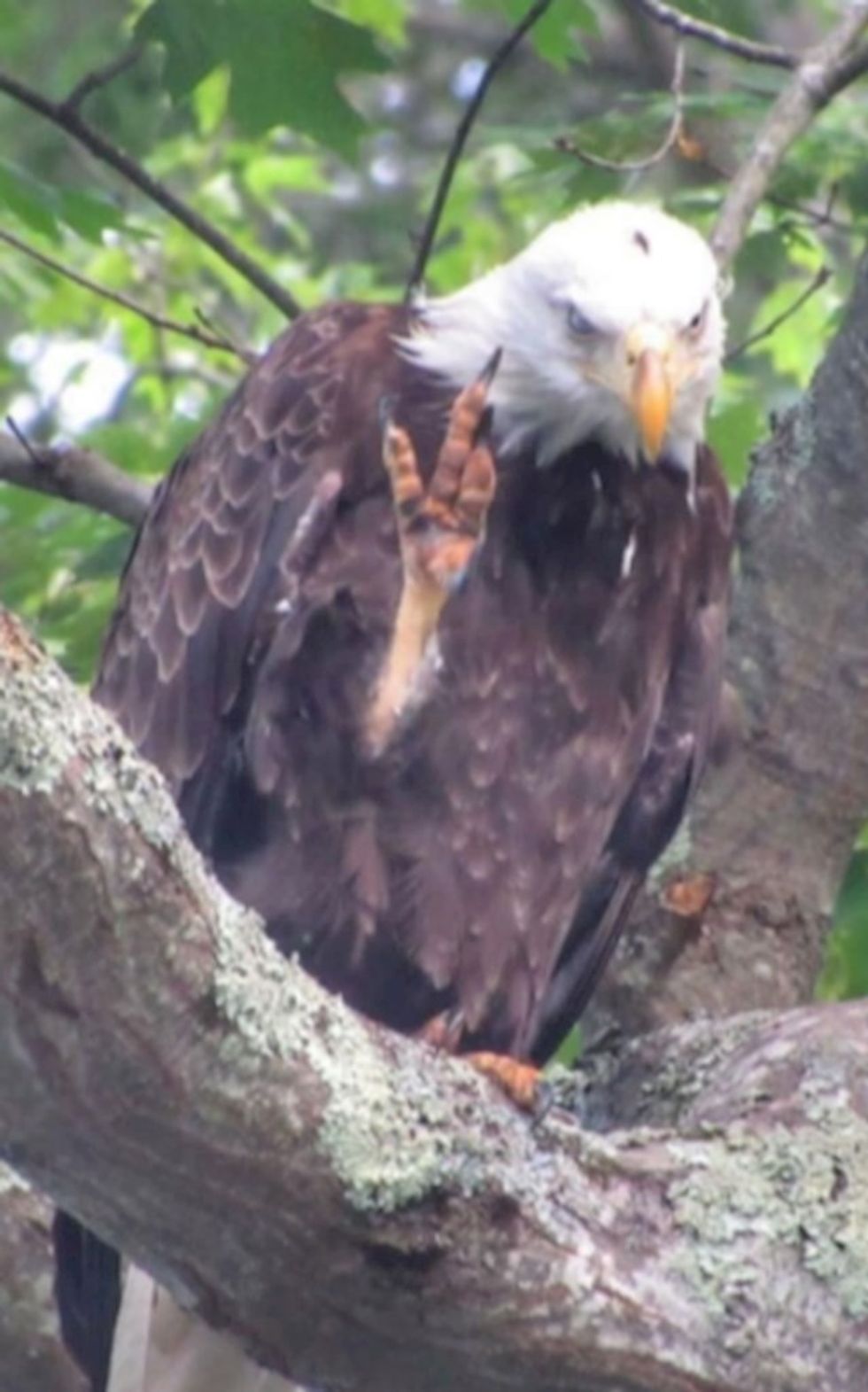 4b63f8b7 7a65 43e7 932f bad36821177e