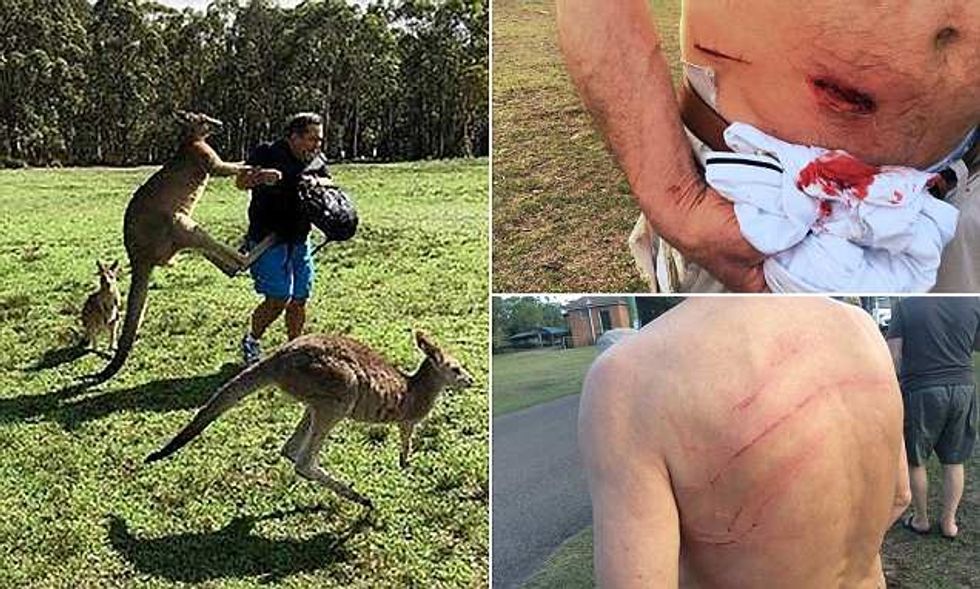 4BD678D300000578 0 image a 4 1525416296570