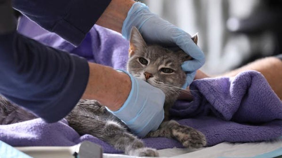 4c911e1e 16d2 4874 b94f 6b556a17b52b