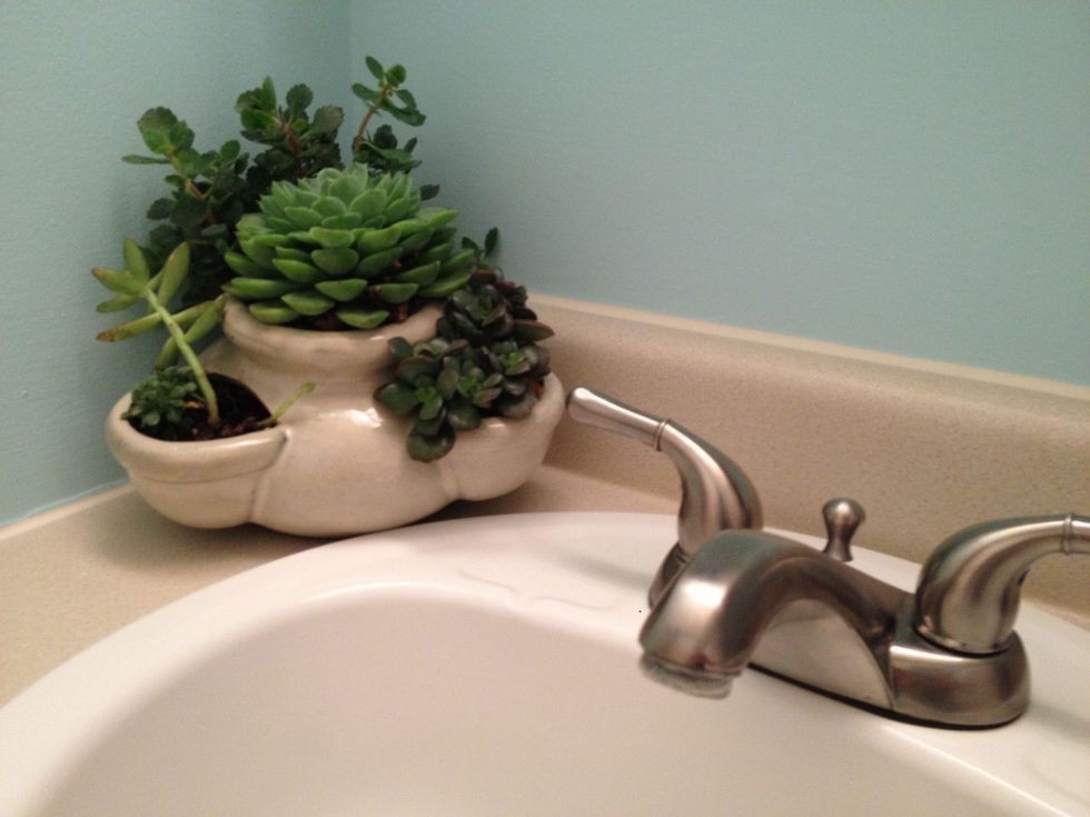 4d3308b8f1aa7fa46b90f5fcac509dcc scaled