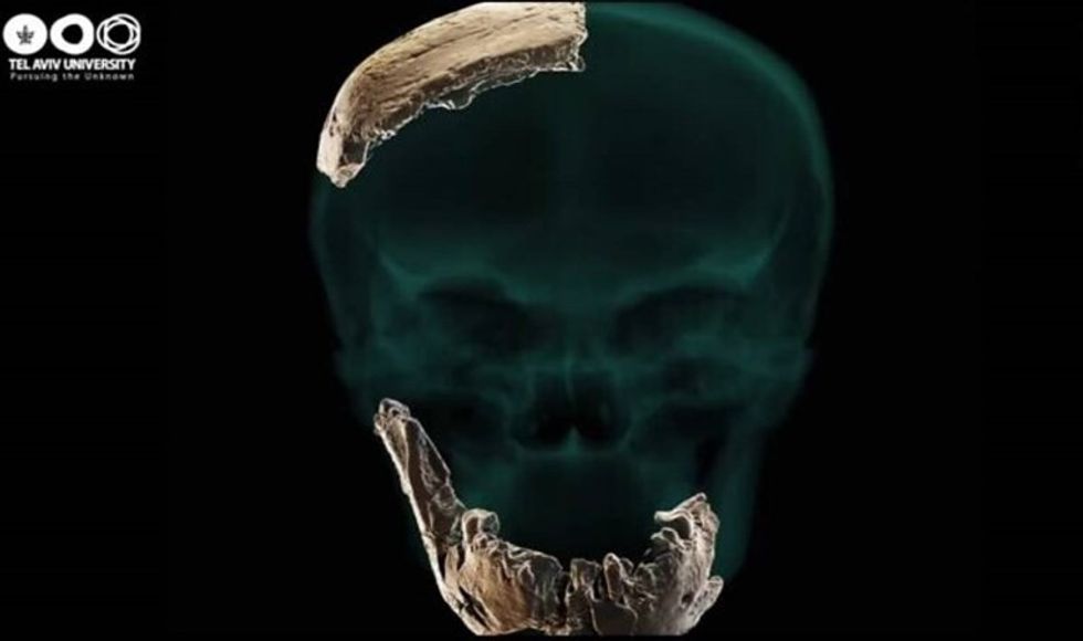 4d8e3c10 5bca 43fe b69b 240ea352741d