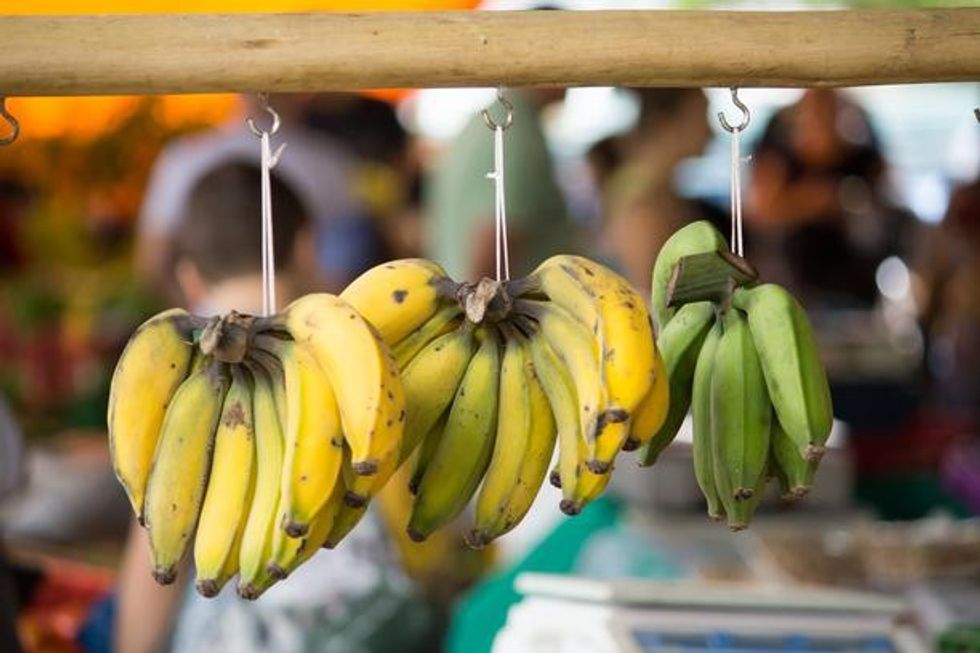 4db0409b47e411226480