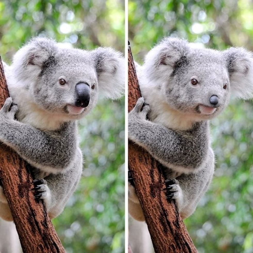 4ea10ada 7c55 4f93 81e4 353568a4d364