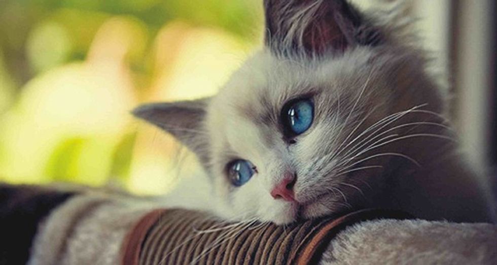 4f3d9da19a9efc2bfaea004571104460