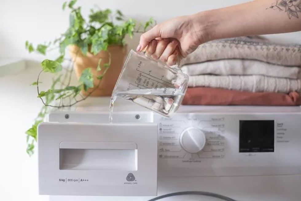 5 best laundry detergent options for dirty clothes