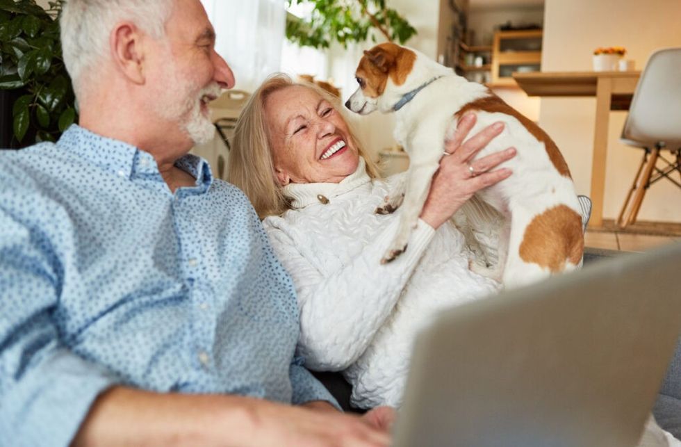 5 Best Pets for Seniors Hero 1