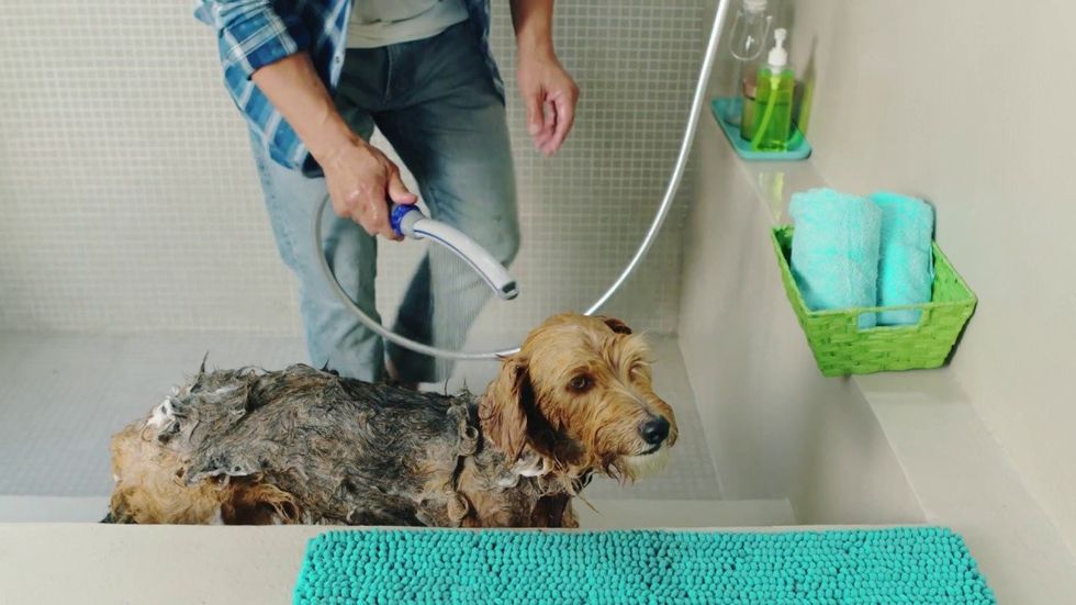 5 scientific advantag