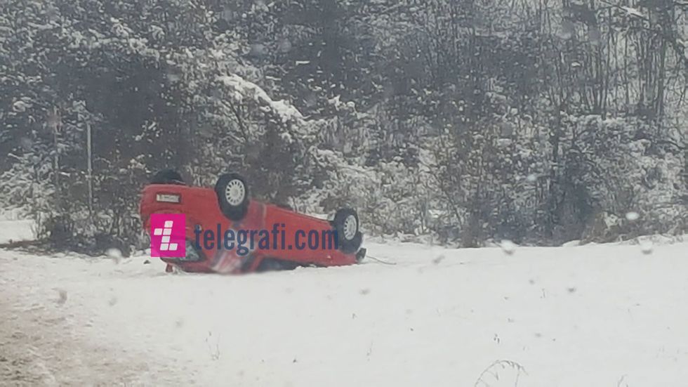 51116765 1818107321631949 2369040790094610432 n 1