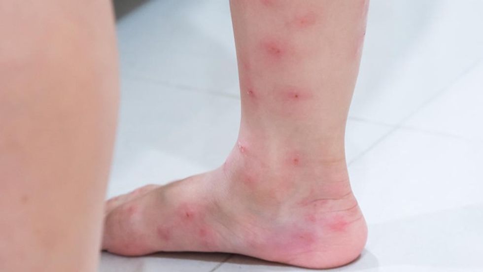 5159233 shutterstock 1046278165 ff