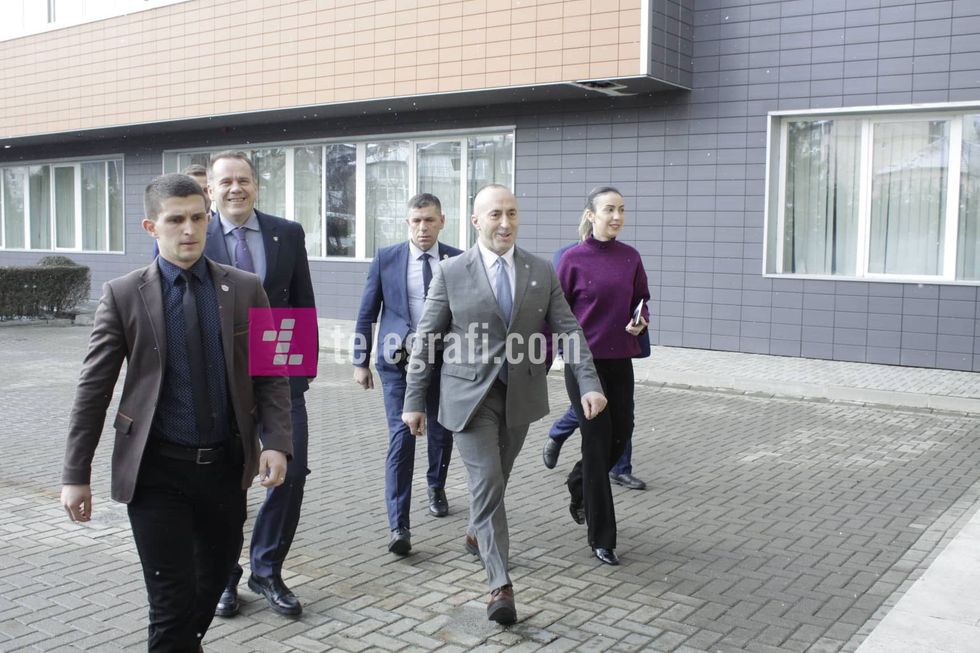 51646020 300298950683682 6147780307337609216 n