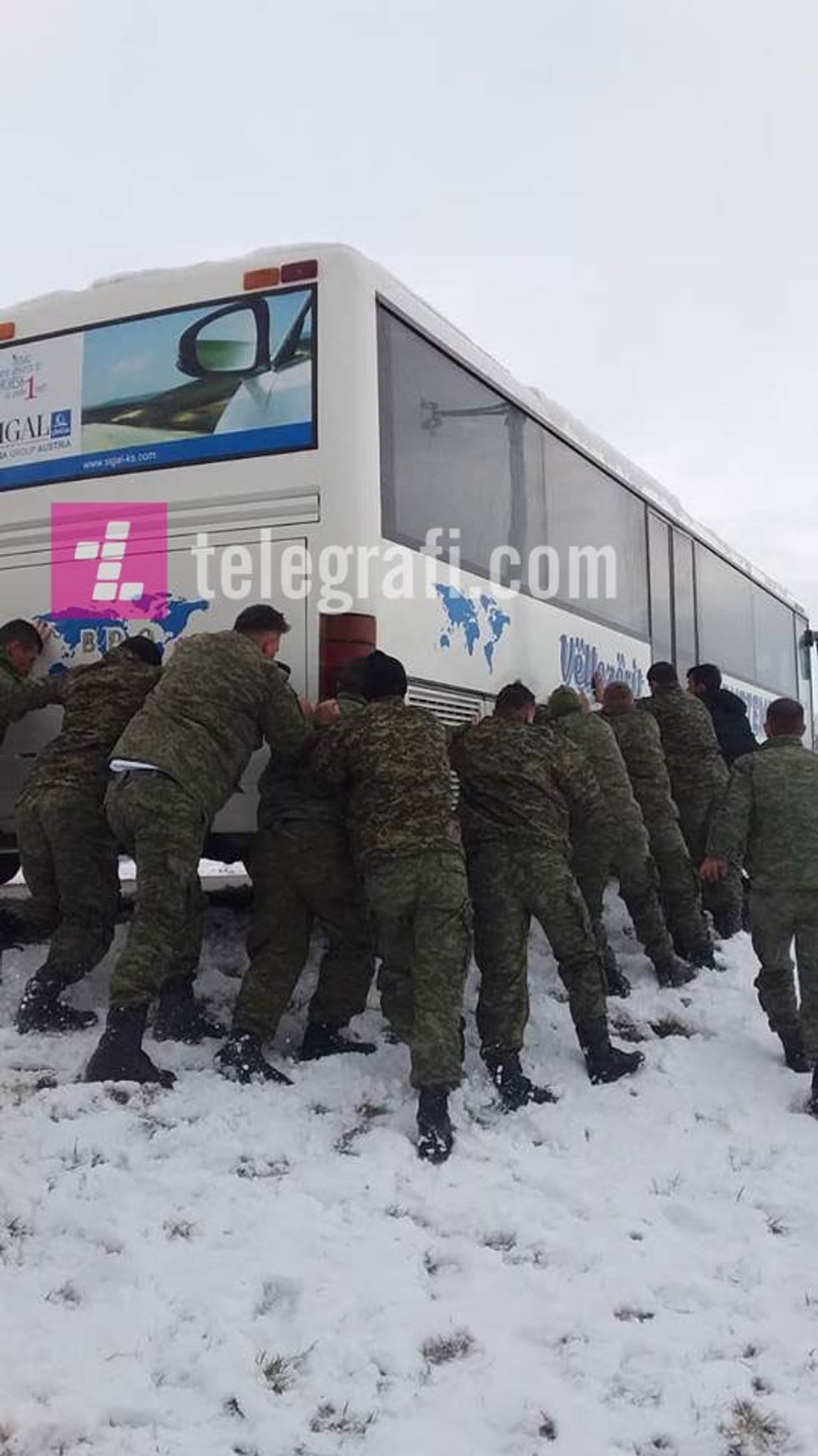 53279066 295706847765091 117332141385187328 n