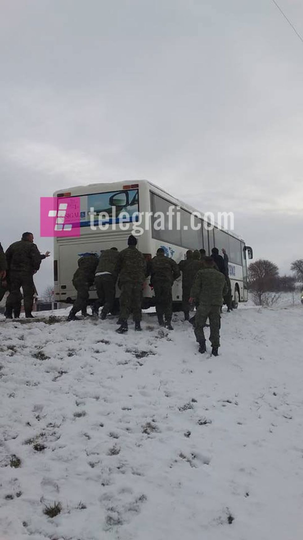 53566440 251258165820205 3159562424667865088 n