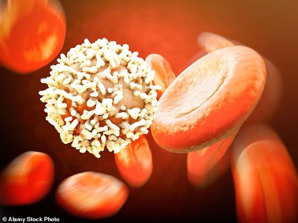 55165509 10596311 image a 22 1646869265597