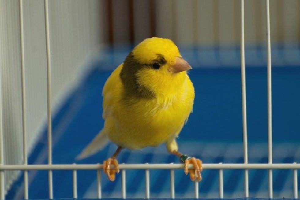 5559559963 c3aca4e874 z