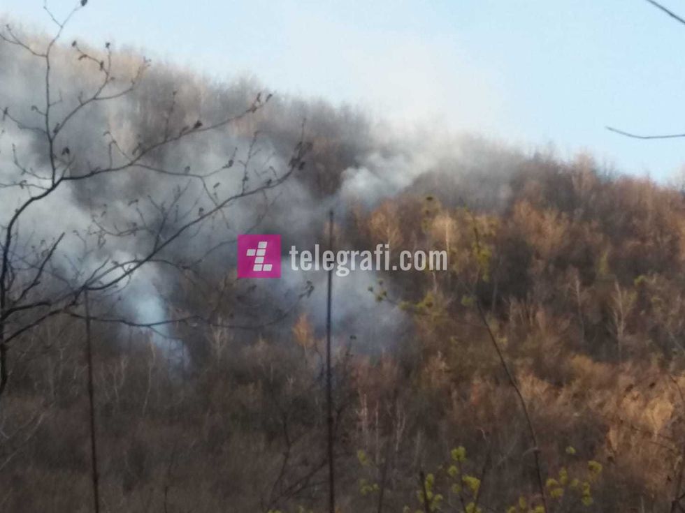 55726115 1213924625449893 777588985533825024 o 1 1