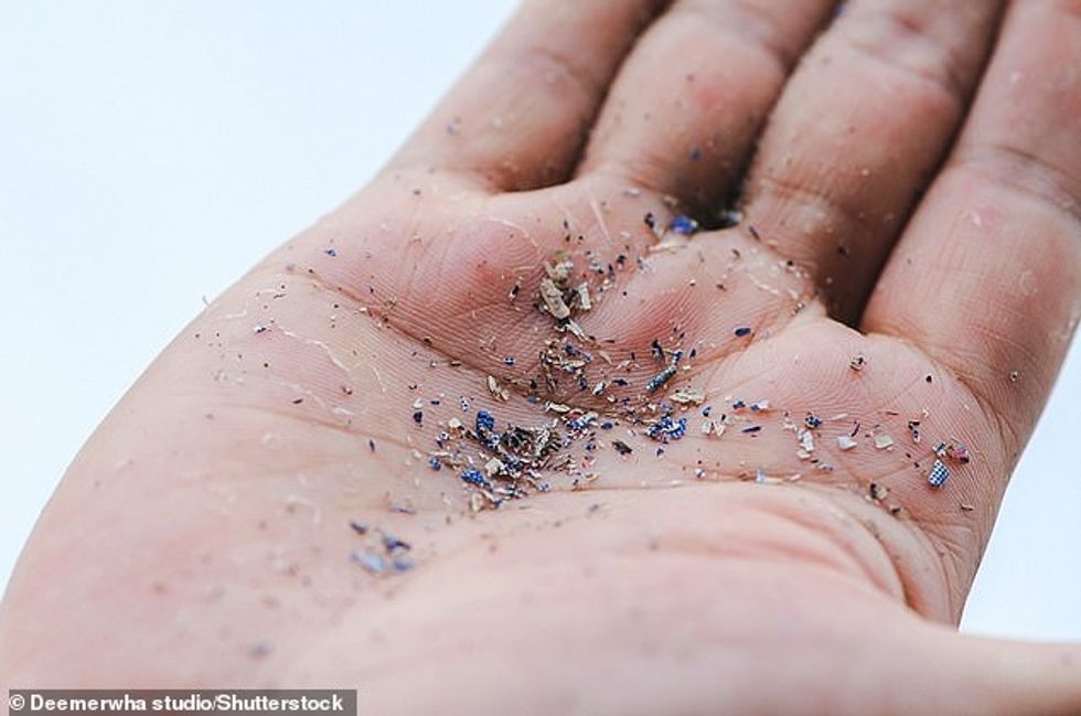 55744623 10647295 Microplastics are tiny pieces of plastic less than 0 2 of an inc a 20 1648120486470