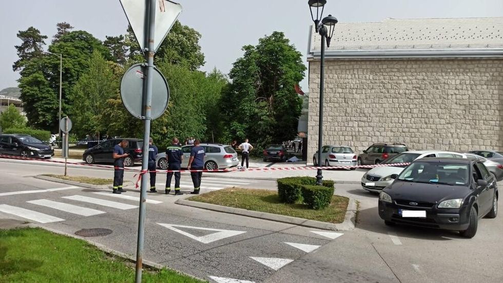 5575051 viber image 20240620 093841489 ff