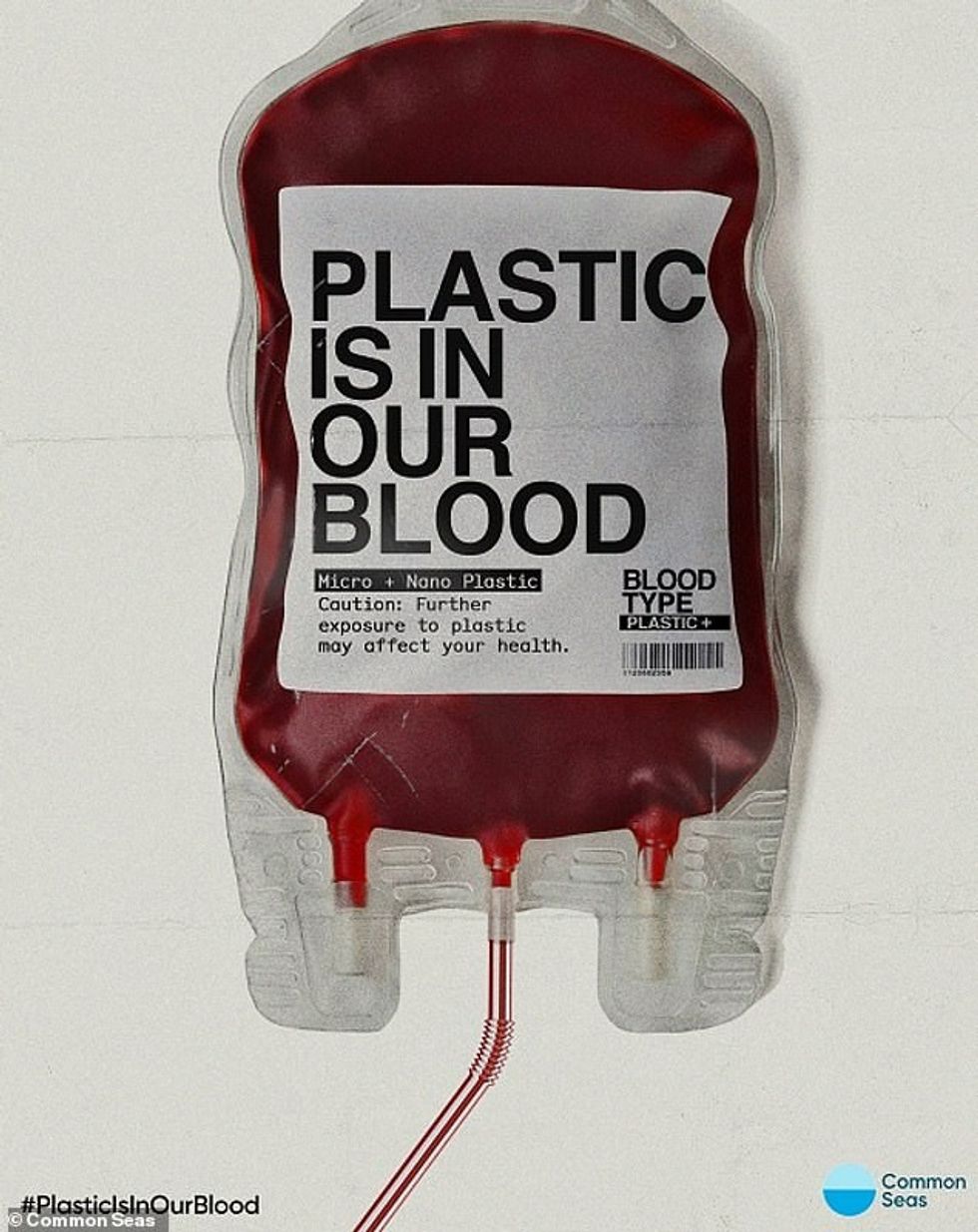 55754493 10648011 The study was commissioned by Common Seas a pressure group that a 1 1648137664519