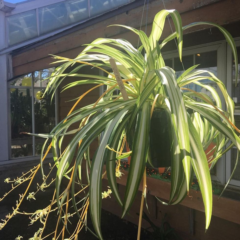 55798322 2107115102913025 5706162941892927090 n