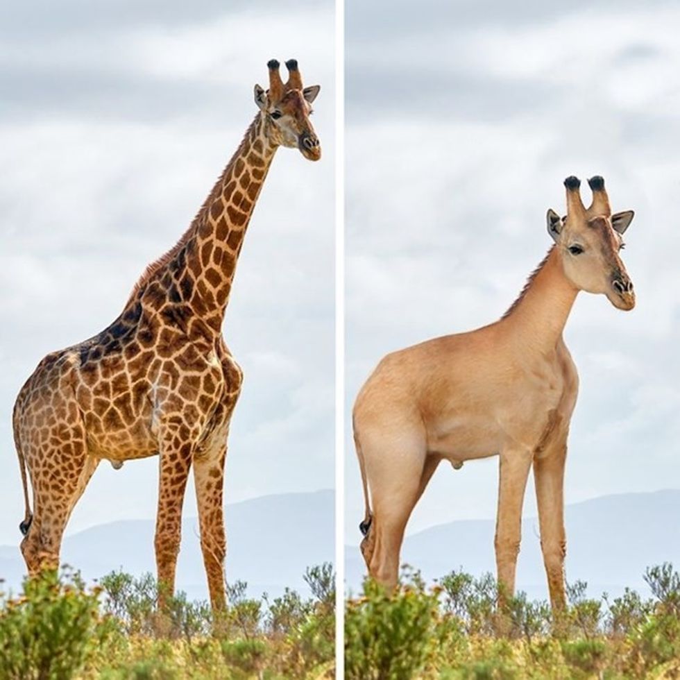 55b3bd6d 736d 4dcf a216 c661b8dd4342