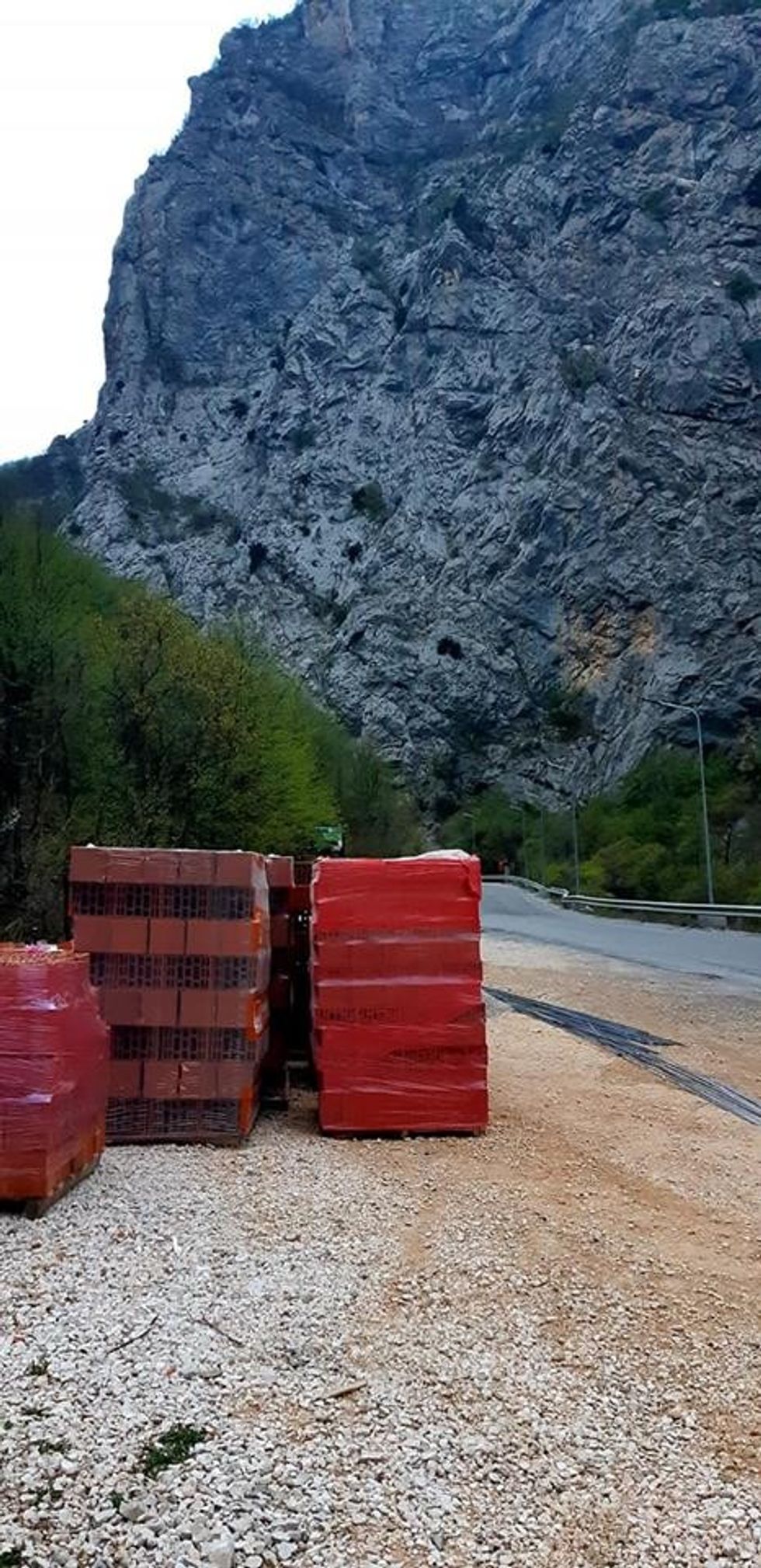 56337072 2256719457709611 9150494073998540800 n