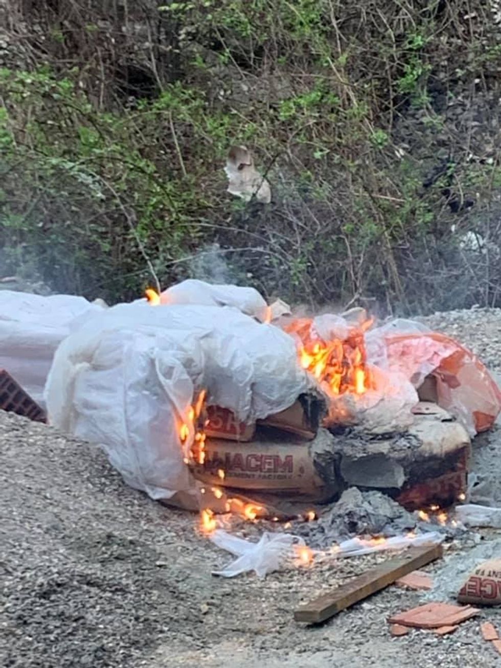 56340107 10219962589998453 622577568507232256 n