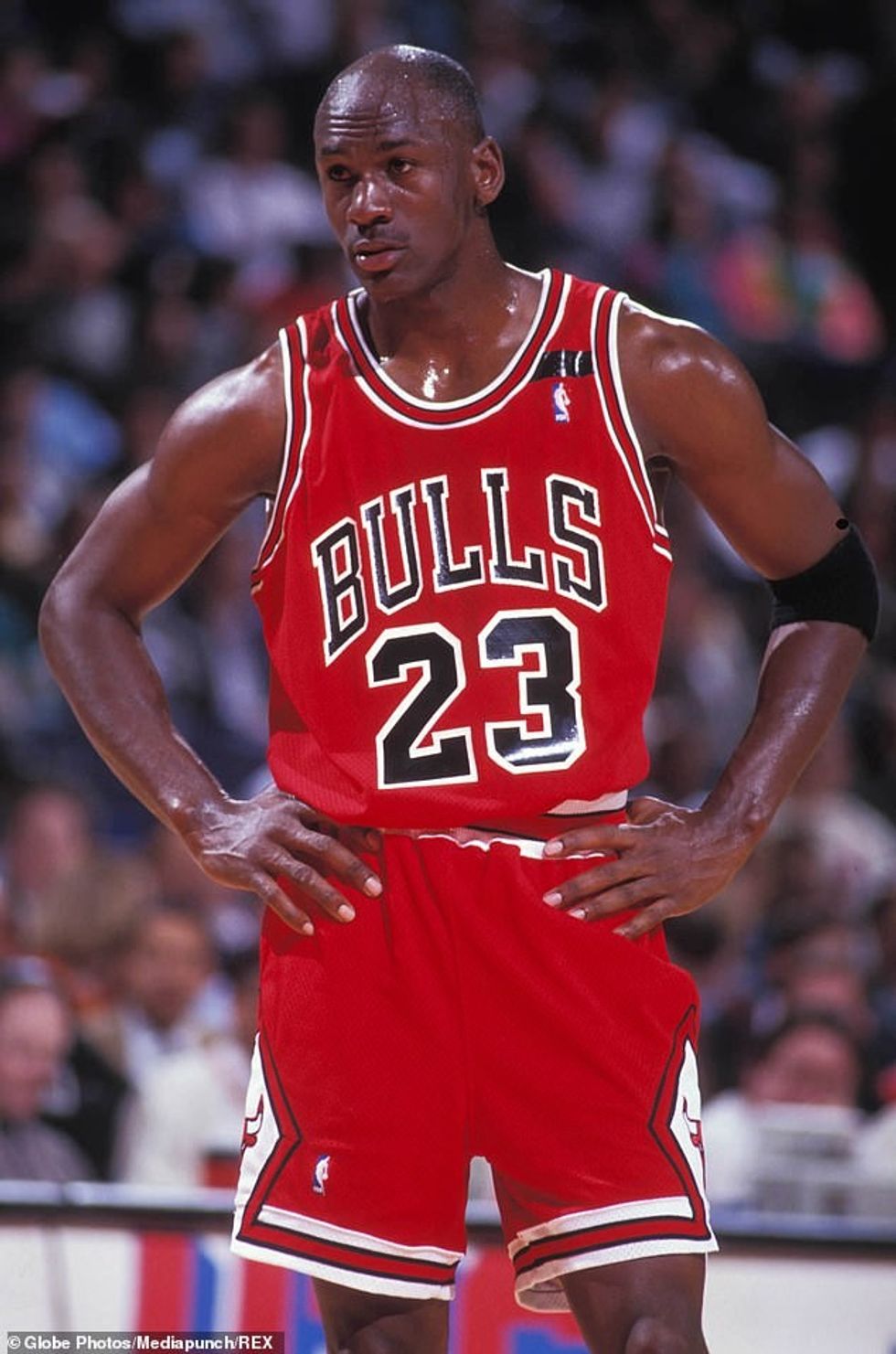 56819217 0 image a 103 1650436915949