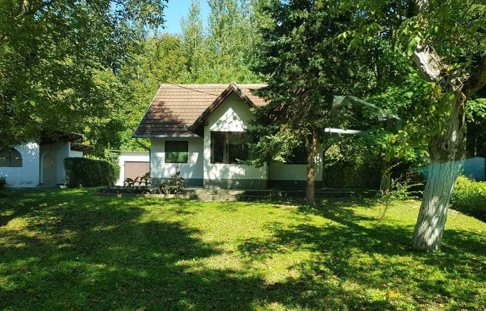 56938127 2067336959987803 459844301