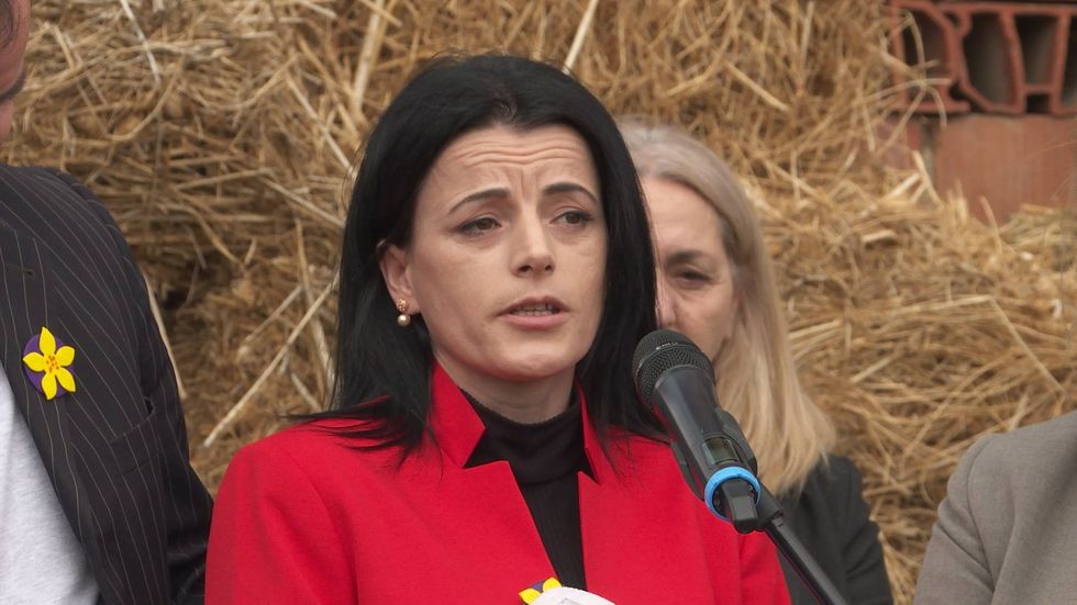 57328157 2194787977253663 5239433391824175104 n