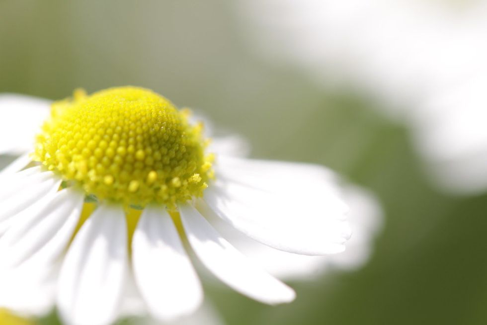 5745144920 15921ca837 b