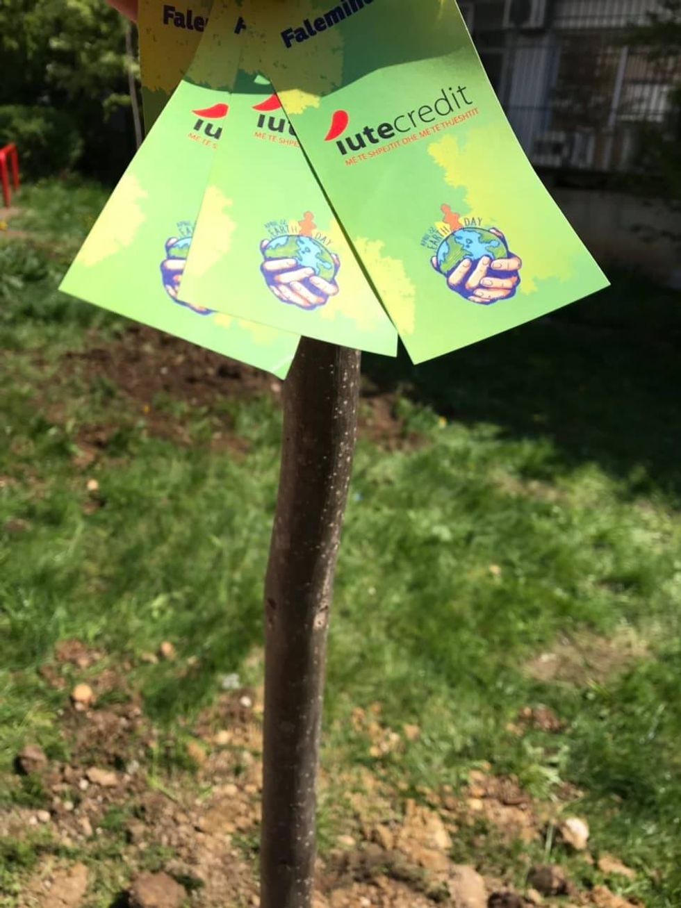 58377168 327030951333593 1069324720719003648 n