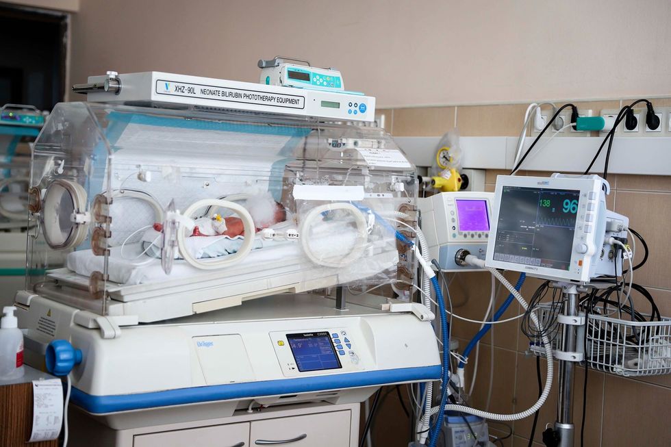 58430326 1354785671327975 3179997187572498432 n