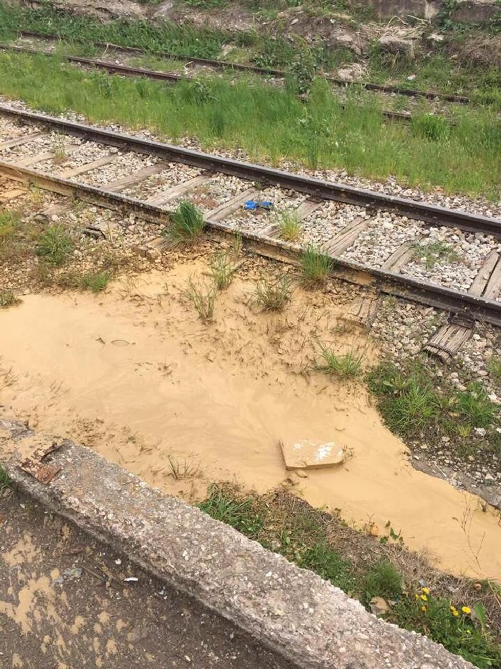 58571161 2270427039669785 6072345833917906944 n