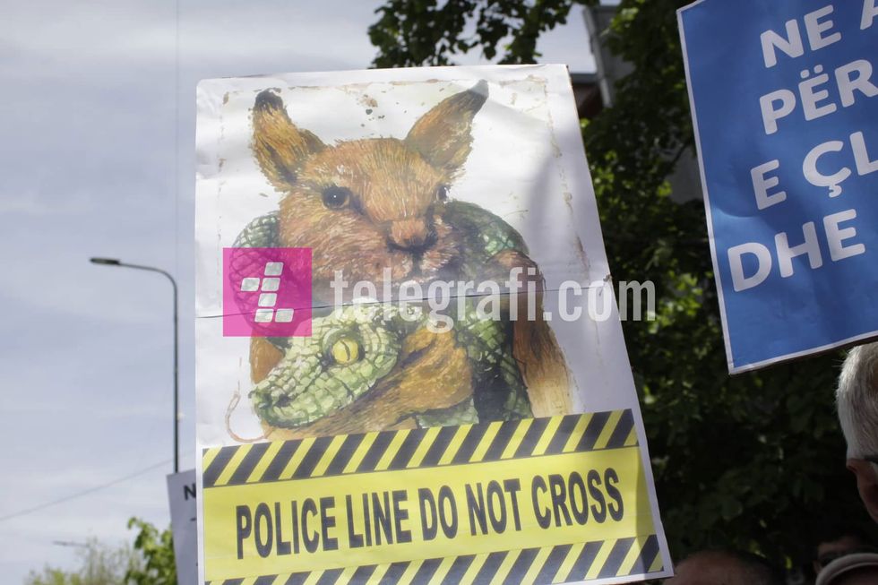 58594816 380596362544316 7973931076529684480 n