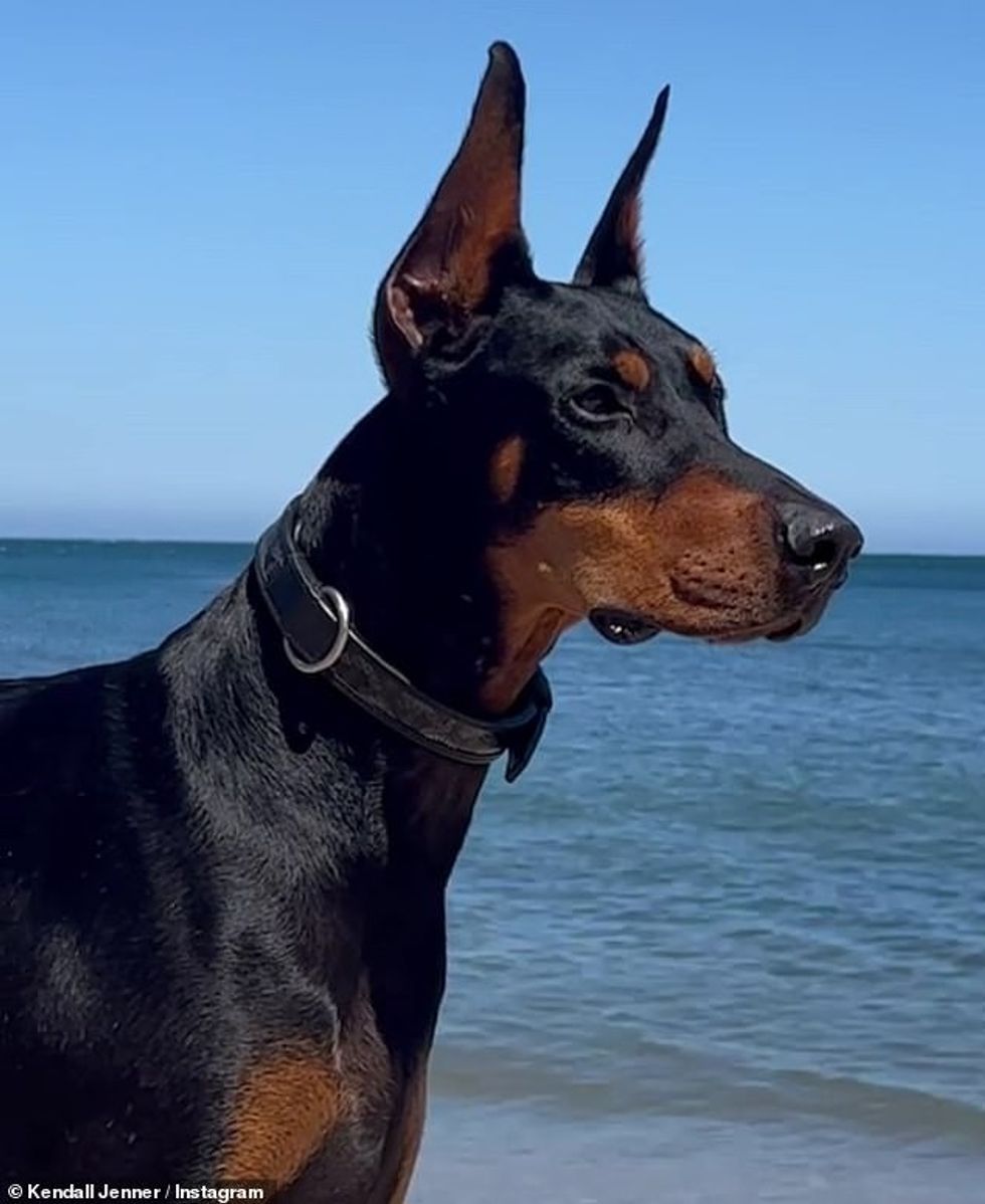 59318135 0 image m 7 1655773249366